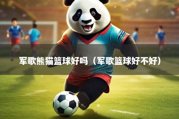 军歌熊猫篮球好吗（军歌篮球好不好）