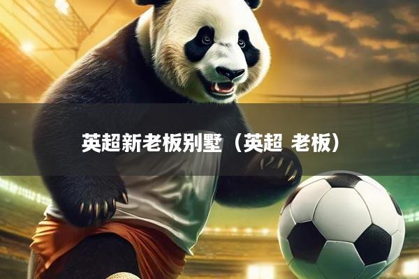 英超新老板别墅（英超 老板）