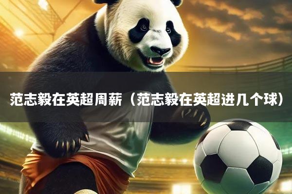范志毅在英超周薪（范志毅在英超进几个球）